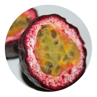 Die essbaren Passionsfrüchte von Passiflora edulis